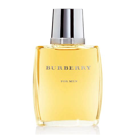 burberry classic erkek 100 ml